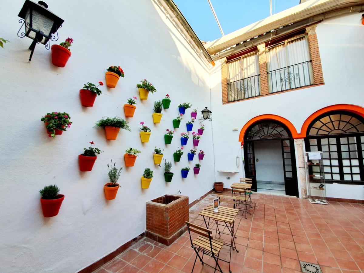 Arc House Cordoba Only Adults — Photos 2