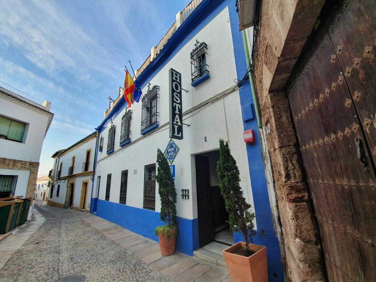 Arc House Cordoba Only Adults — Photos 3